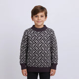 بلوفر تريكو اولادي عجينه الوان متعددة شتوي من دابليو اس اتش - WSH-28