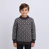 بلوفر تريكو اولادي عجينه الوان متعددة شتوي من دابليو اس اتش - WSH-28